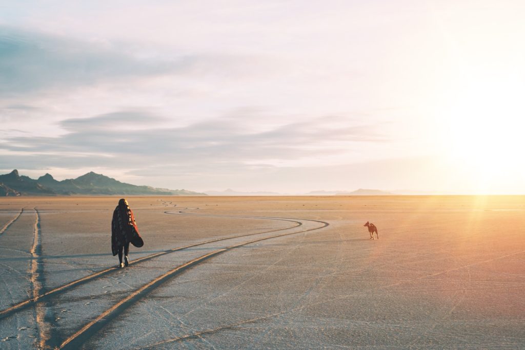 a person walking a dog on a road in the desert